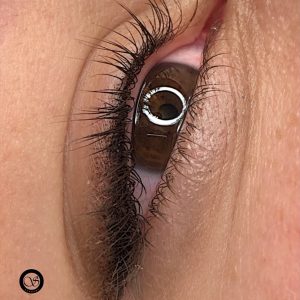 softliner madrid
